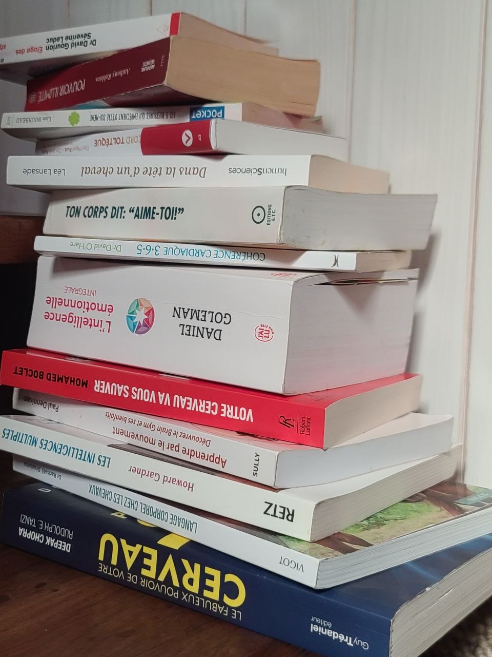 Pile de livres en attente de lecture