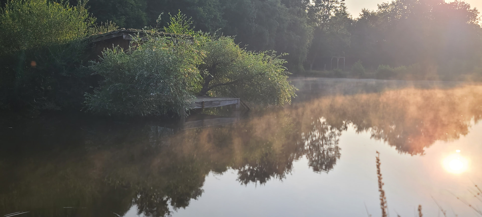 L'étang dans la brume dorée du matin, avec le ponton